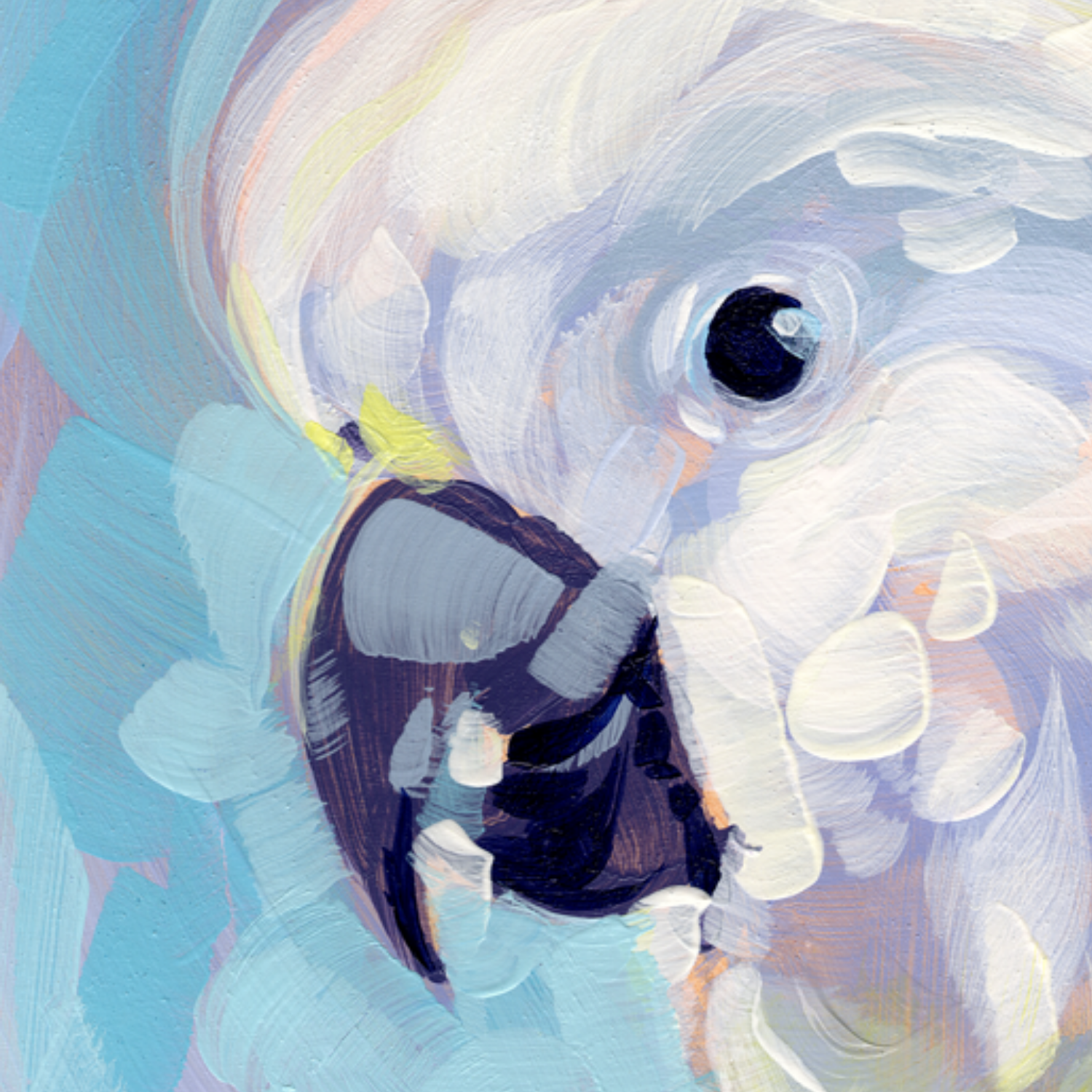 Unframed Archival Wall Art Print – Sulphur Crested Cockatoo
