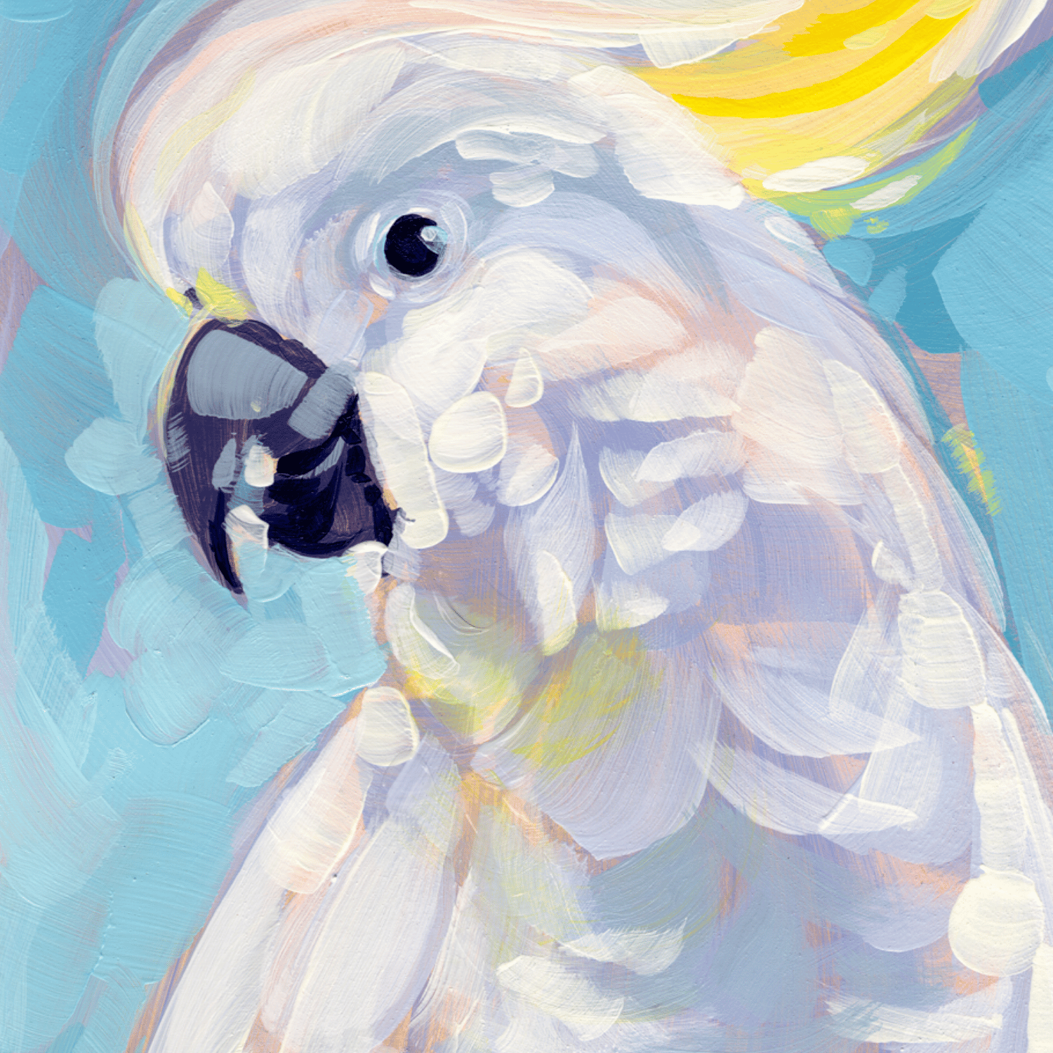 Unframed Archival Wall Art Print – Sulphur Crested Cockatoo