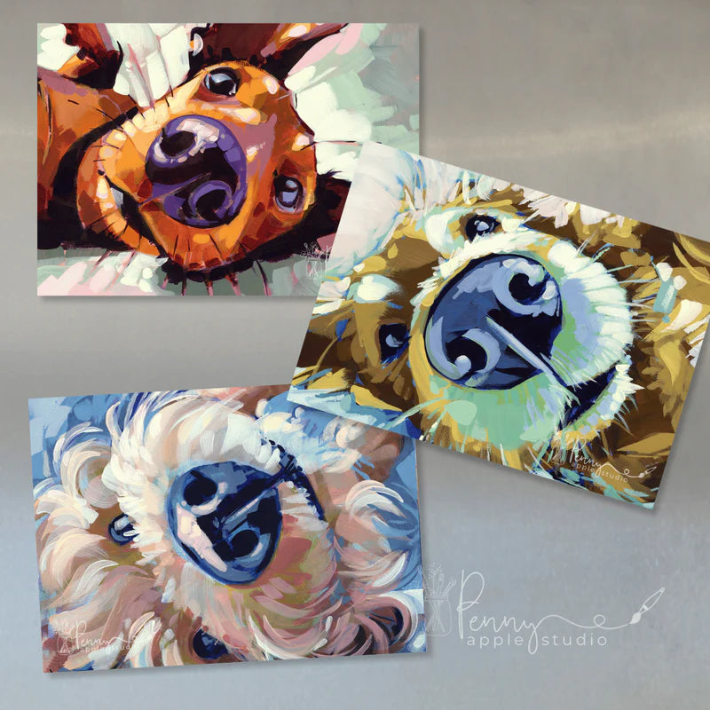 (3) Fridge Magnet Set – Choose your favourite set