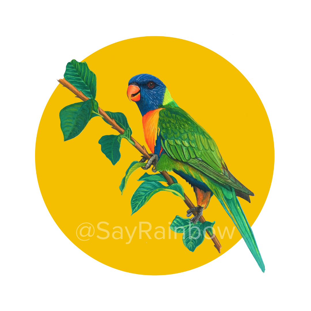Australian Bird Greeting Card - Parrots