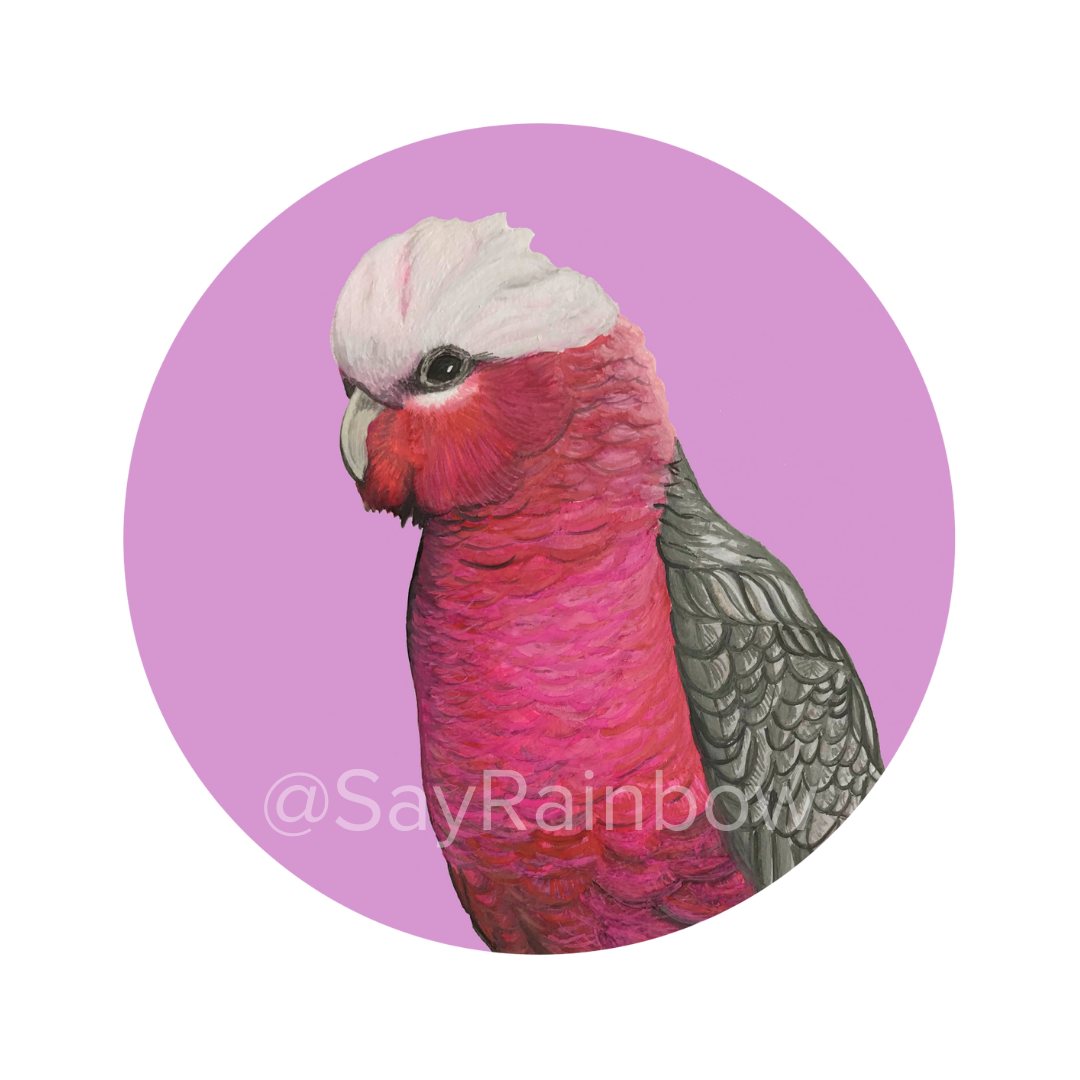 Australian Bird Greeting Card - Parrots