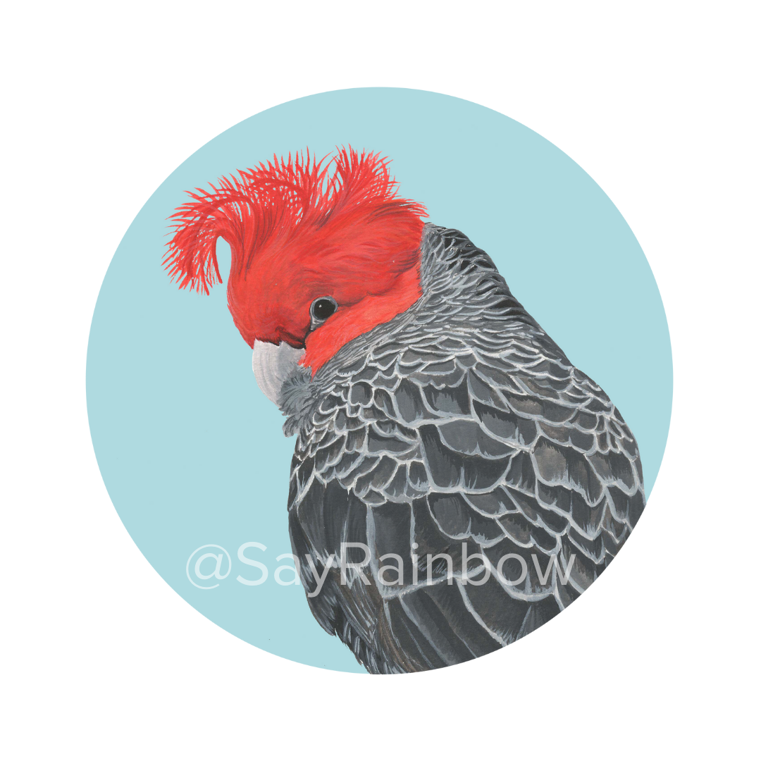 Australian Bird Greeting Card - Parrots