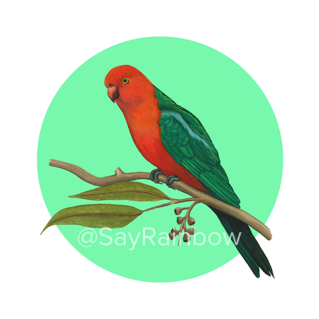 Australian Bird Greeting Card - Parrots