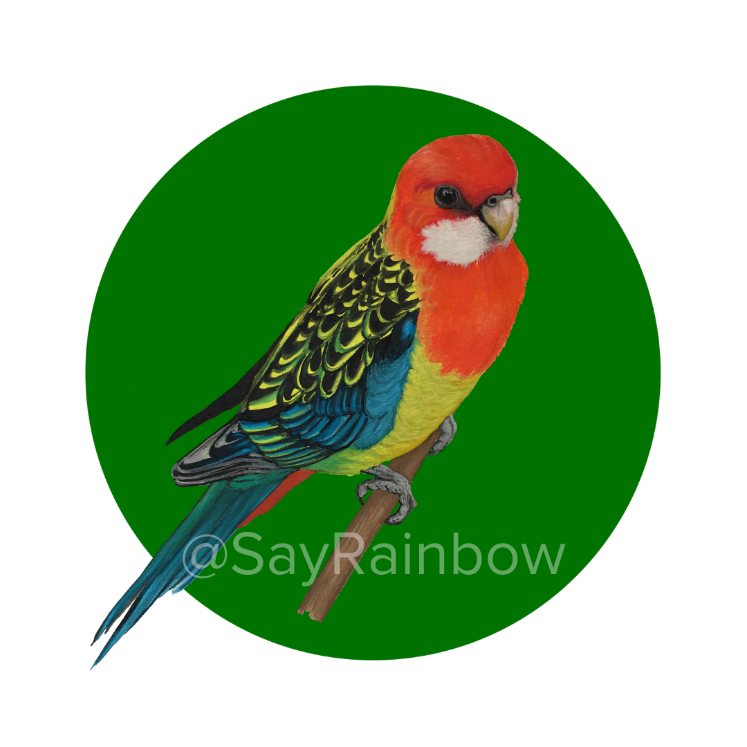 Australian Bird Greeting Card - Parrots