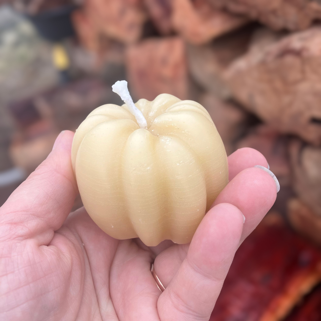 Pumpkin Shaped Beeswax Candle Honey Scent