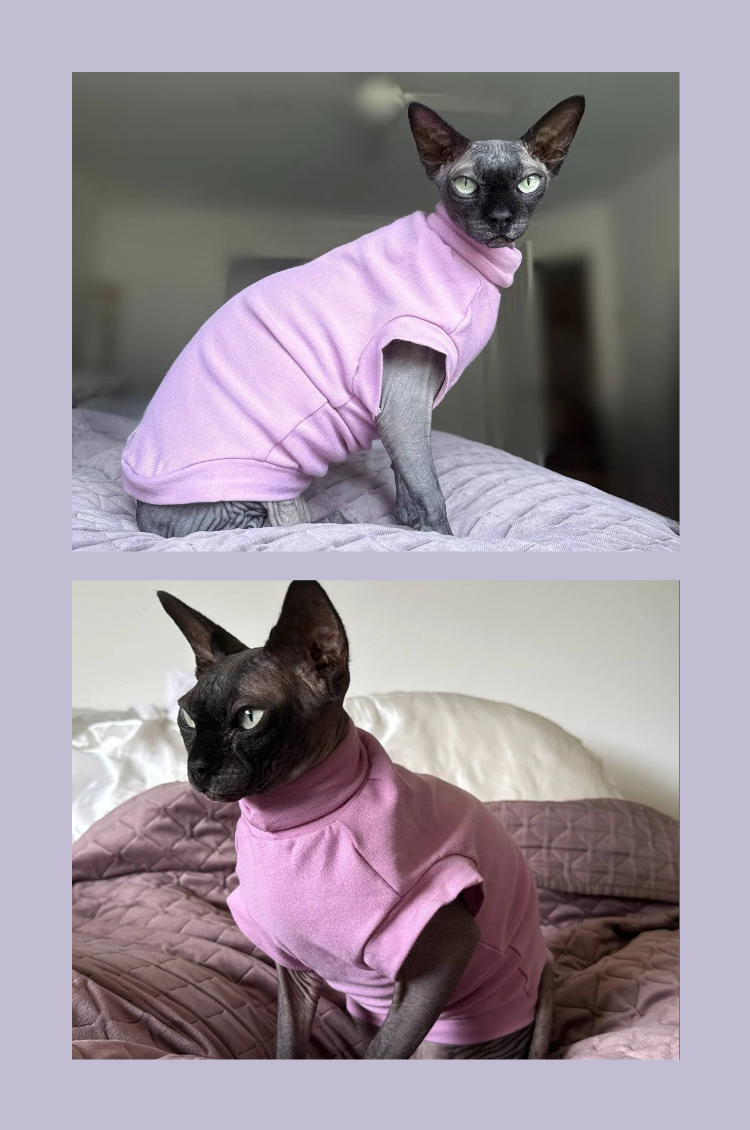Sphynx, Bam, Elf, hairless cat, kitten, clothes t-shirt costume, long sleeve, short sleeve, hood