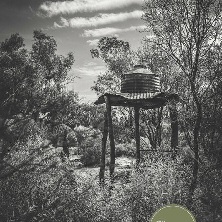 Rusty Bushland Structures #2