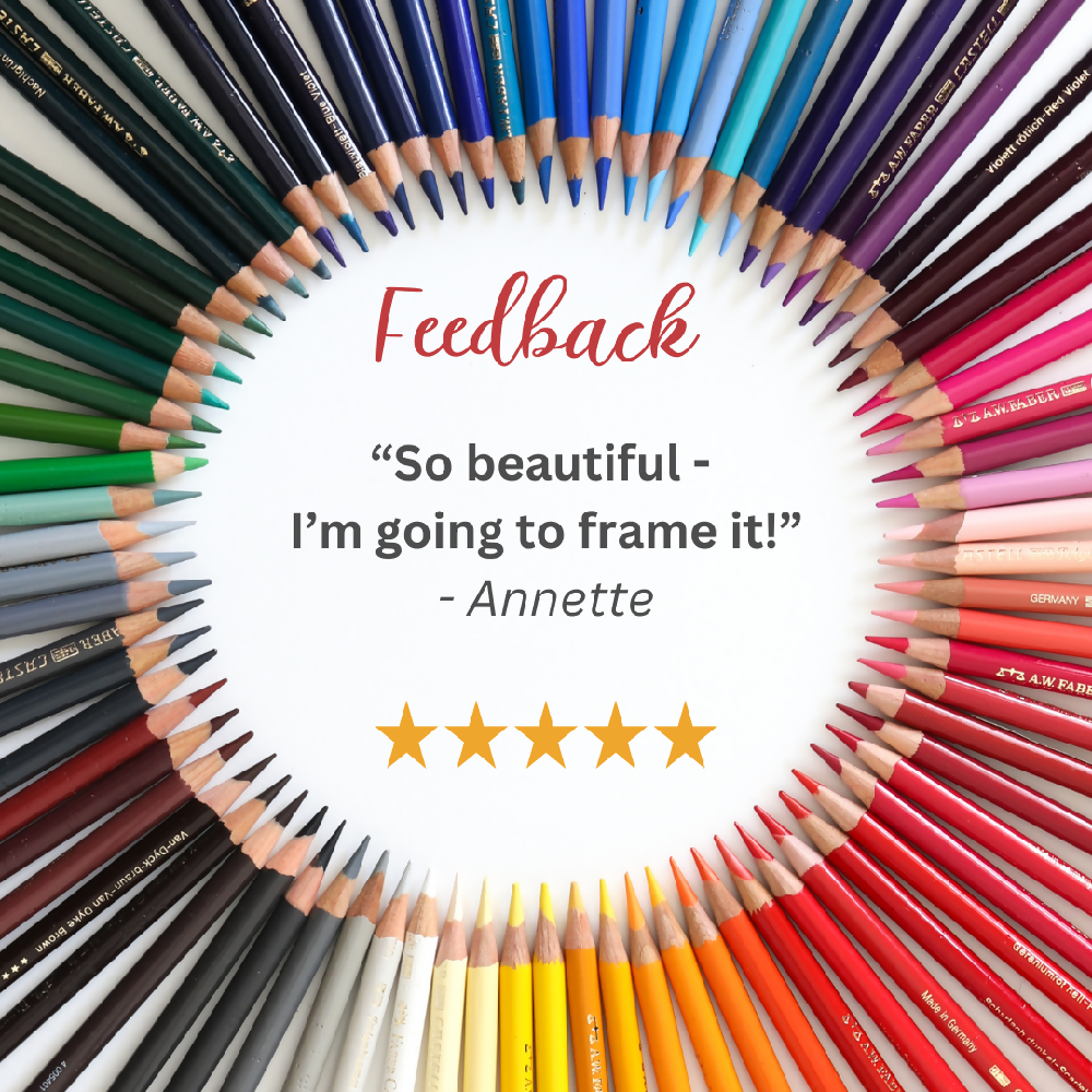 Tawny Frogmouth chicks card review 1