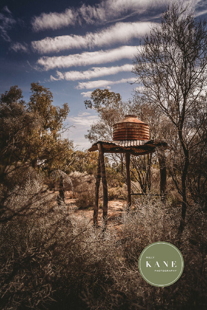 Rusty Bushland Structures #3