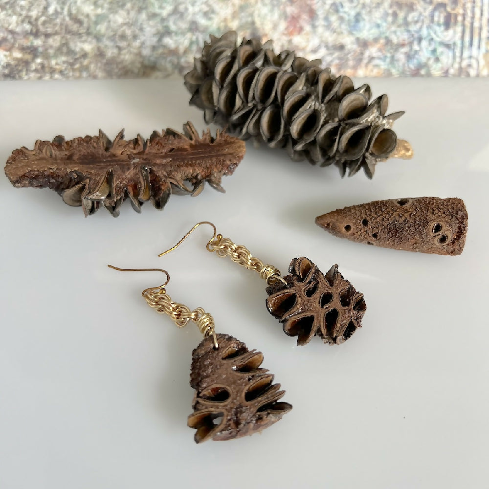 Silver plated banksia earrings small display