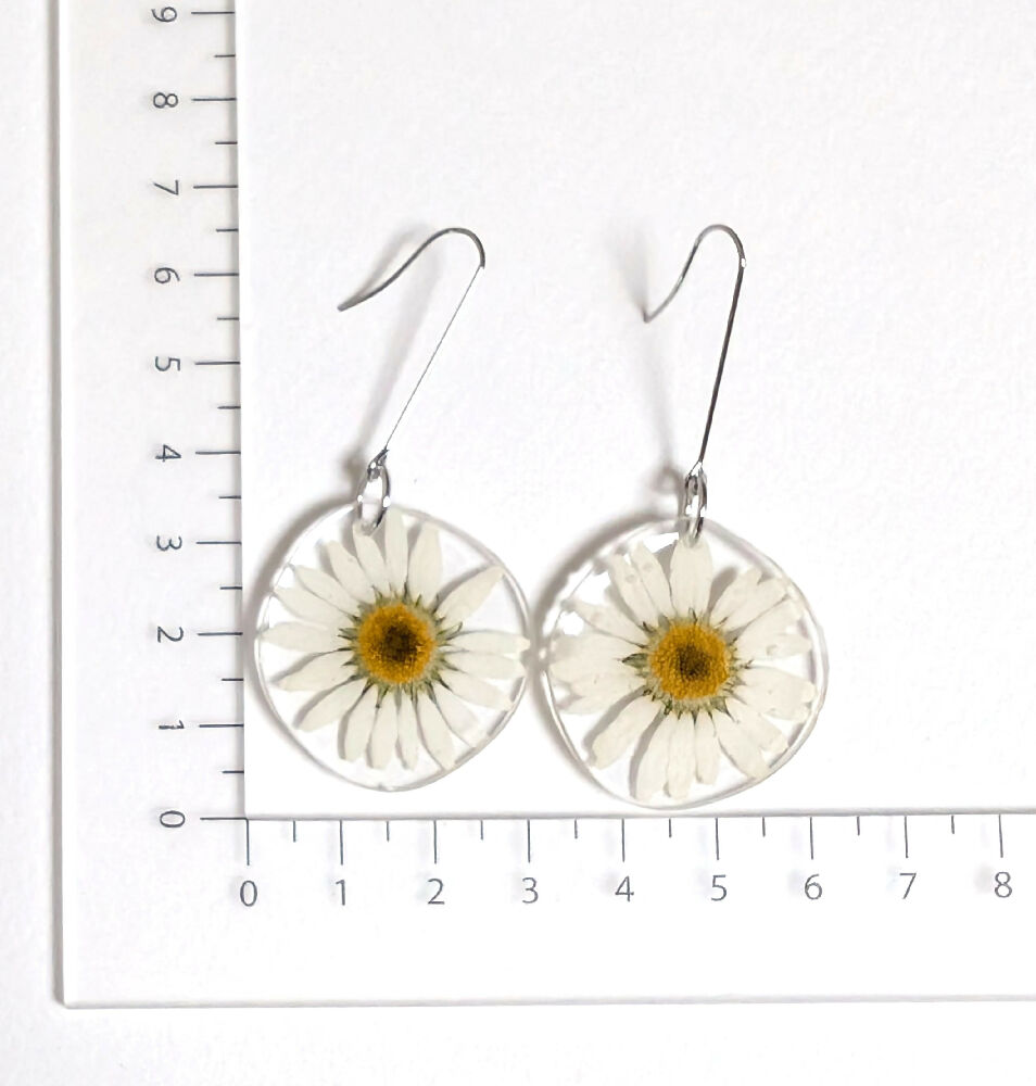 PXL_20250329_020256534