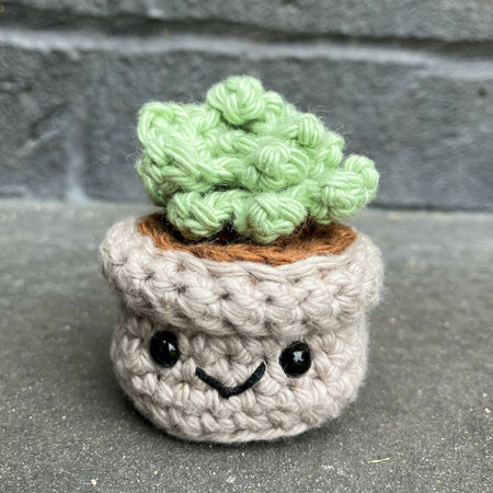 Crochet Succulent Mini Buddy