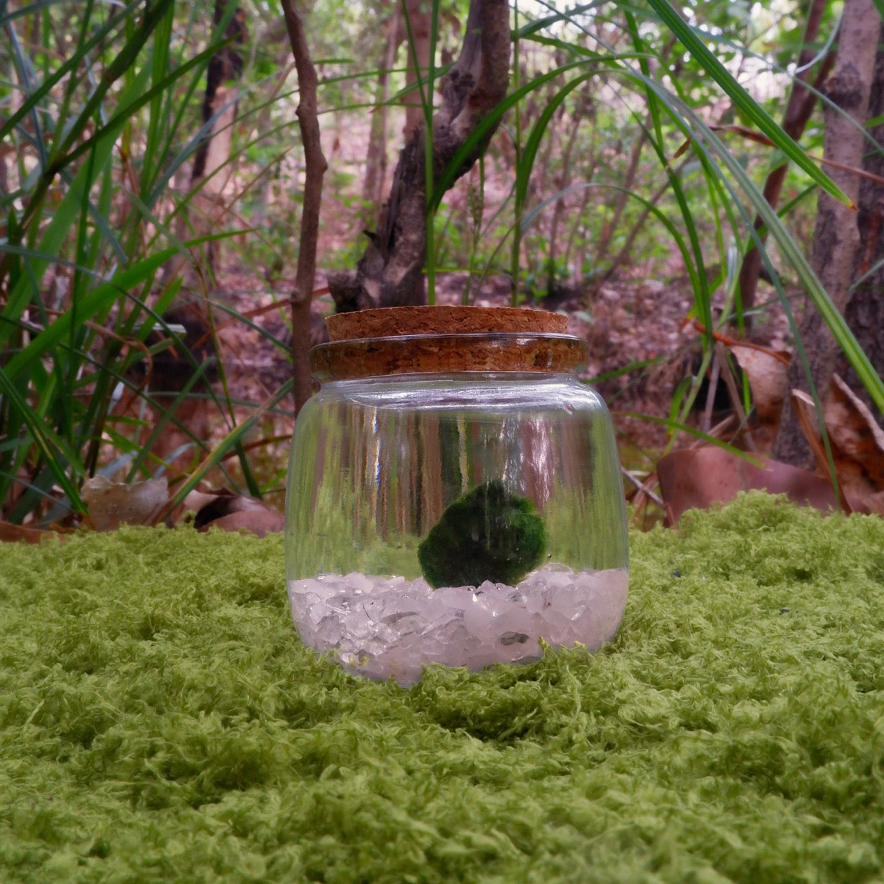 Heart Moss Moonling – Rose Quartz Crystal Moss Ball Pet for Love & Calm