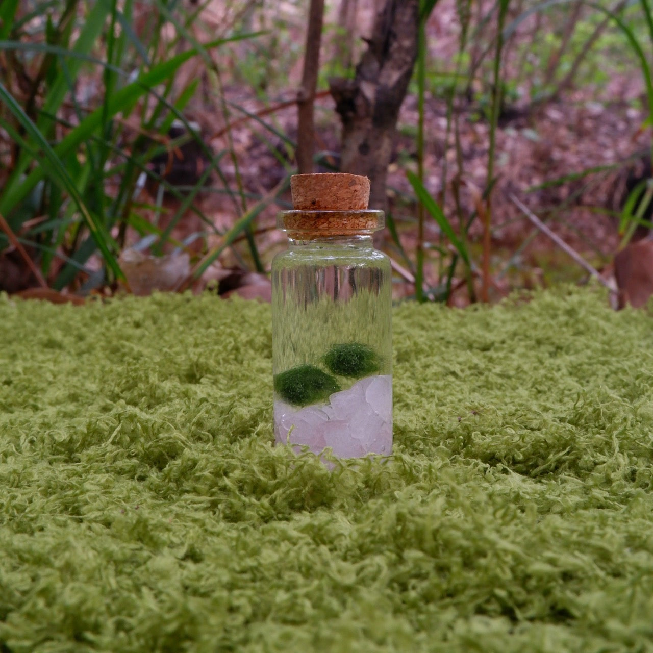 Heart Moss Moonling – Rose Quartz Crystal Moss Ball Pet for Love & Calm