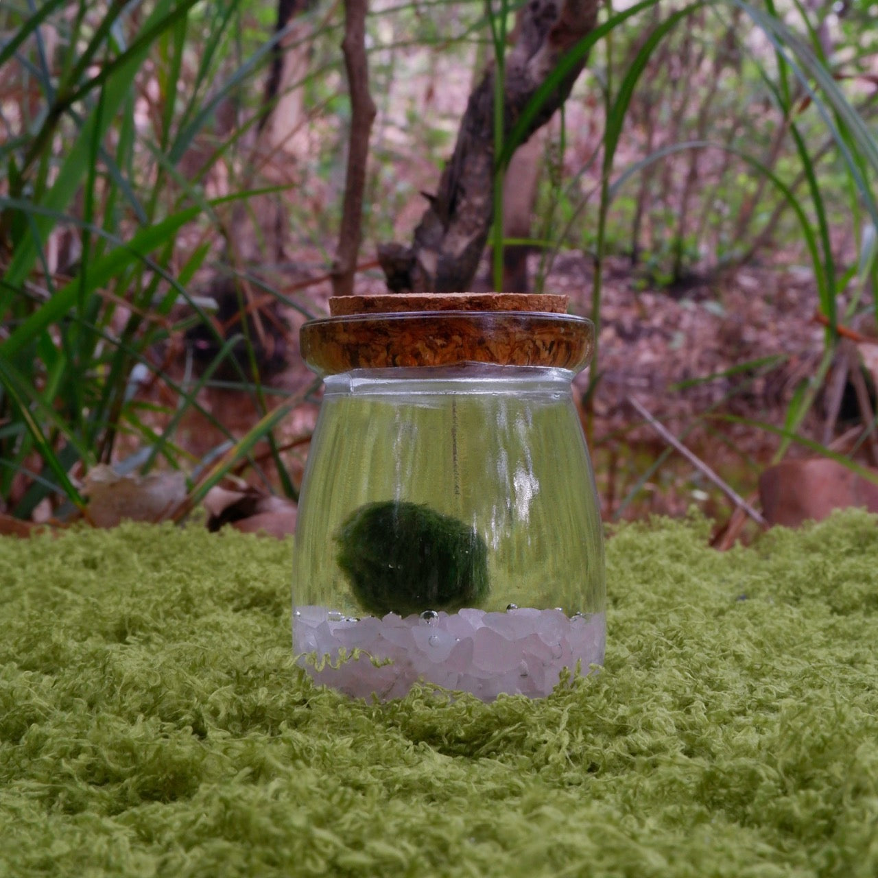 Heart Moss Moonling – Rose Quartz Crystal Moss Ball Pet for Love & Calm