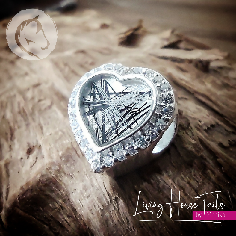 5_20230917_164347_0004