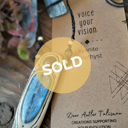 •| KYANITE | AMETHYST | DEER ANTLER |• NECKPIECE