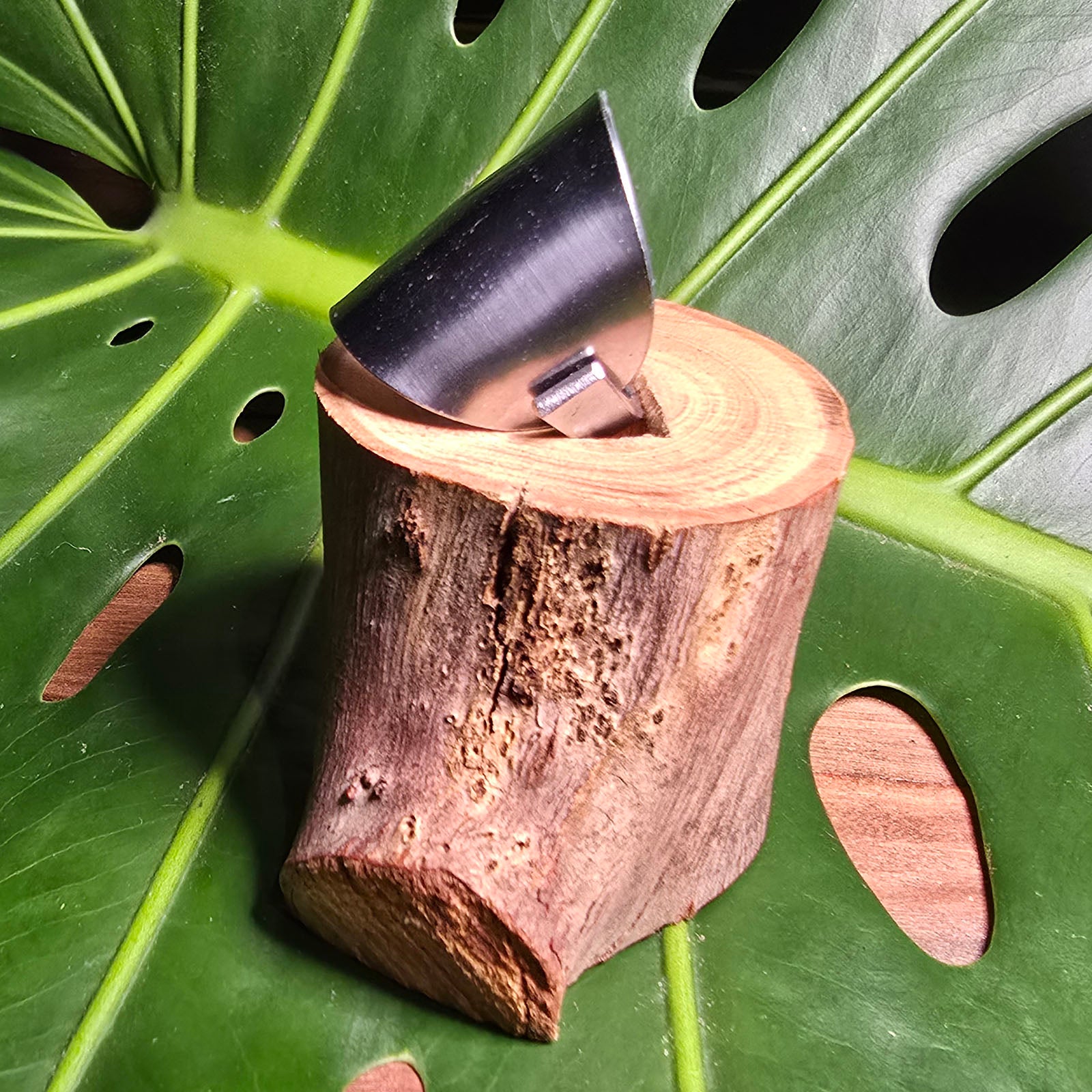 Stainless Steel Cutlery Ring - #34