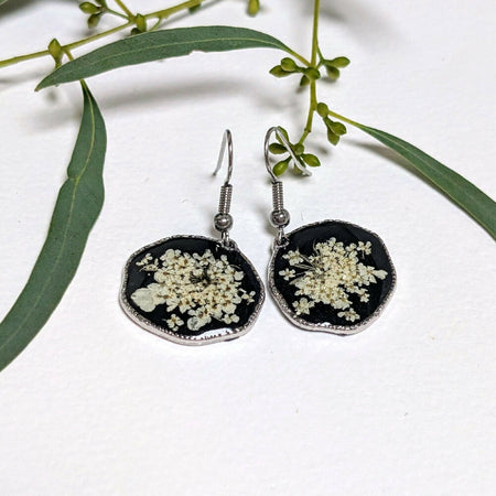 Queen Anne's Lace with black background