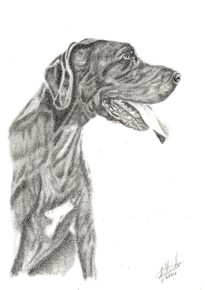 Graphite Pet Portrait A5