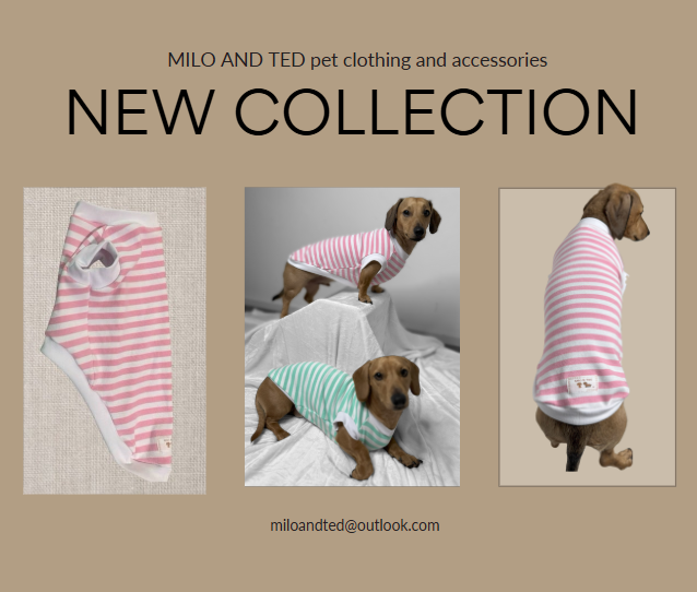 Pet tank top/t-shirt for standard dogs, dachshunds, micro dogs. Pet clothing/costume