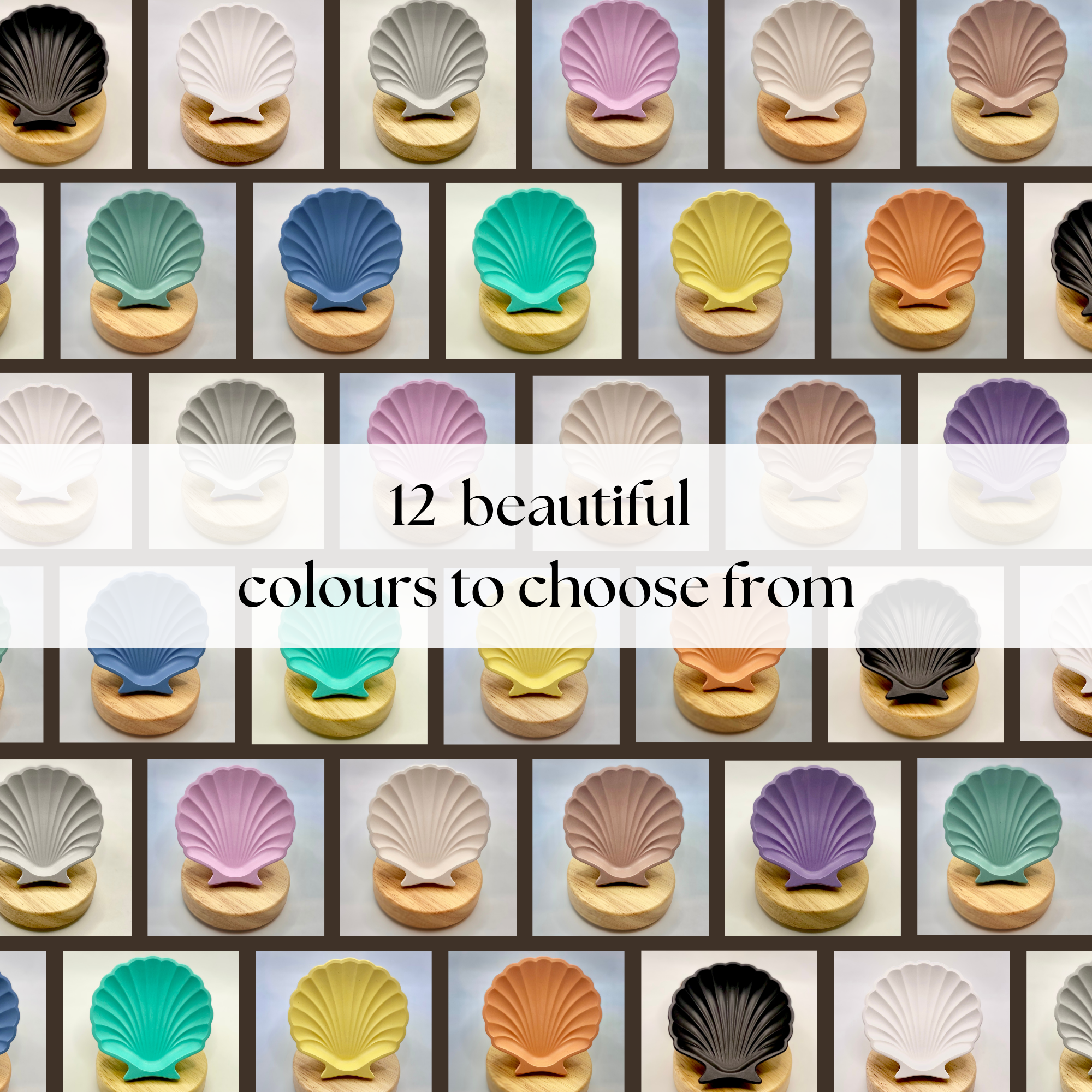 Shell dish | Trinket dish | Colour decor collection