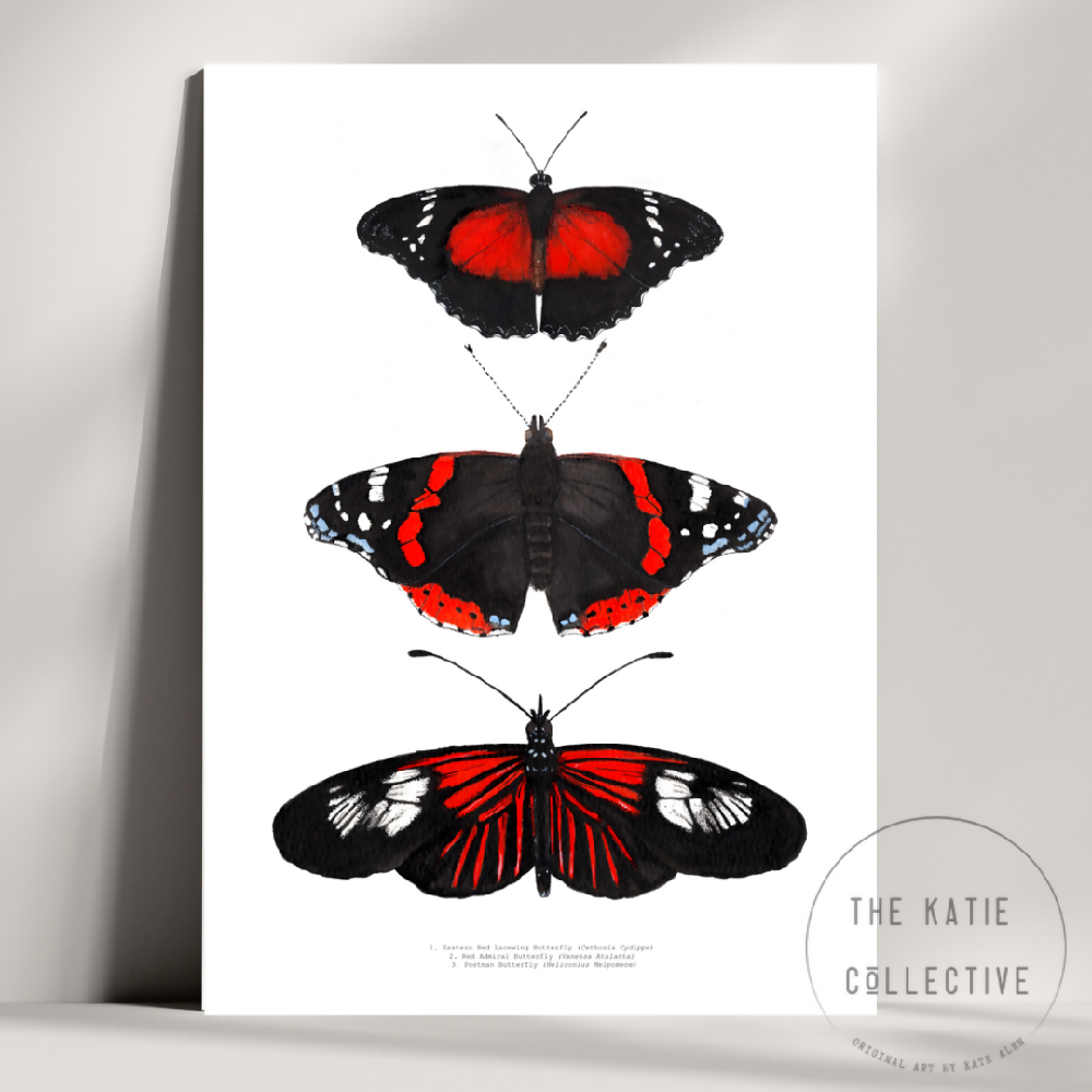 the katie collective - red butterfly trio