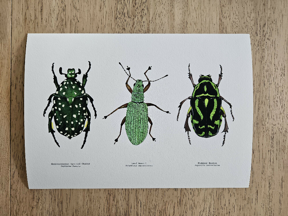 the fauna series - green bug trio