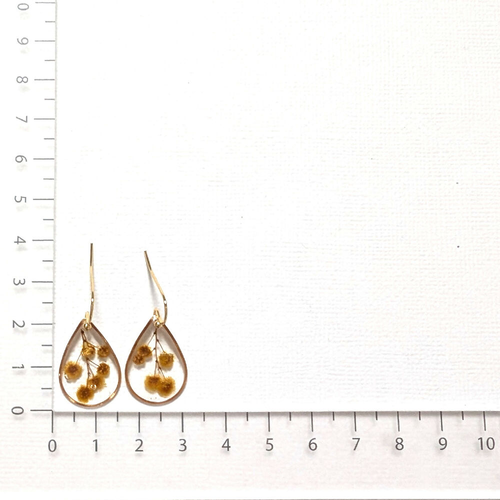 PXL_20250406_043143745