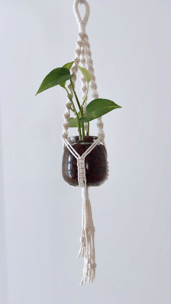 Small Propagation Macrame Hanger