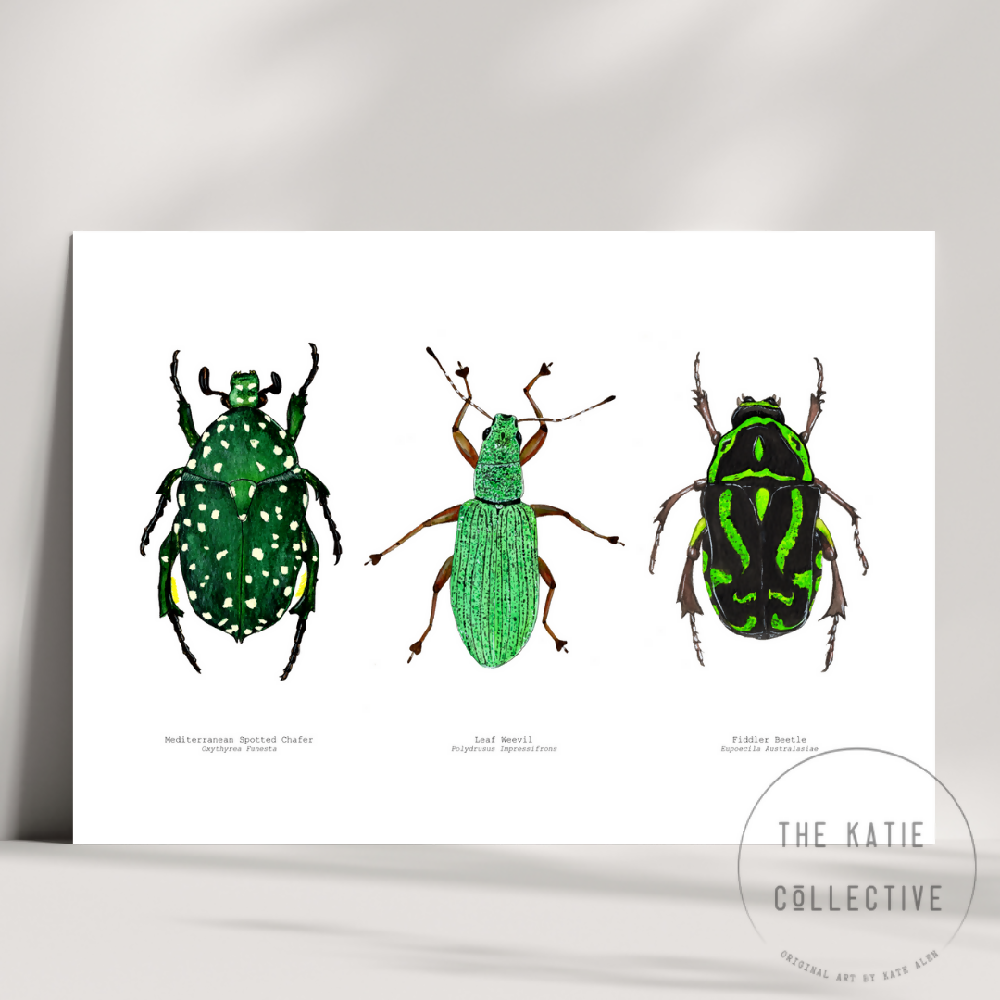 the katie collective - green bug trio