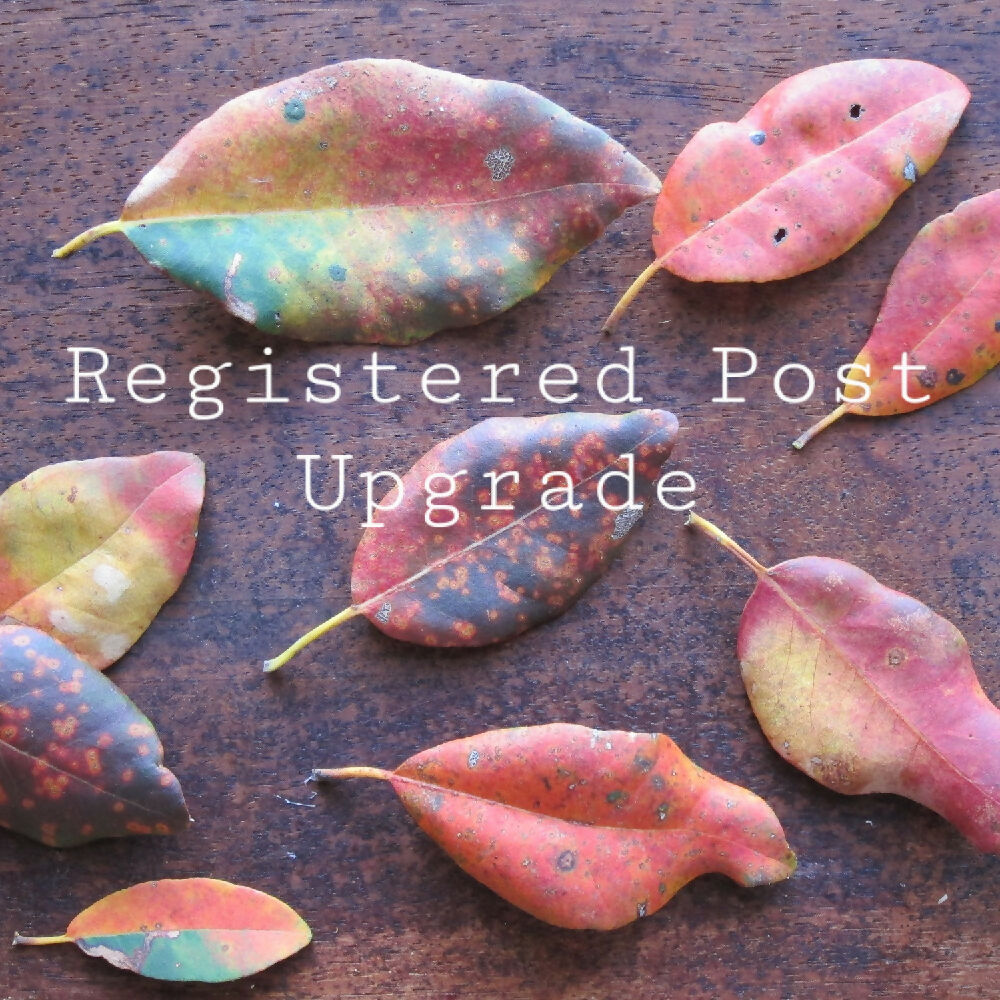 Registered Post with Priority Stamp Shipping Upgrade - Earthy & Magical Paper Co.