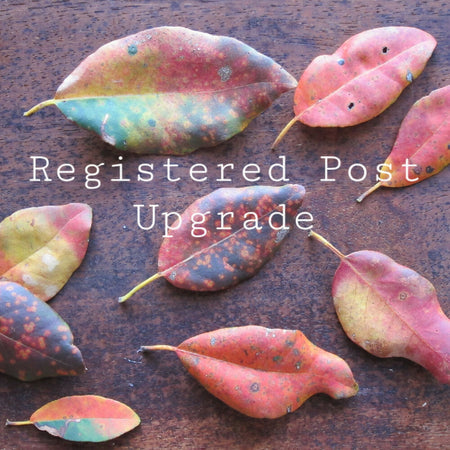 Registered Post with Priority Stamp Shipping Upgrade - Earthy & Magical Paper Co.