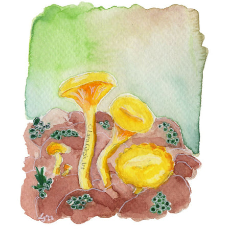 Yellow mushrooms - art print