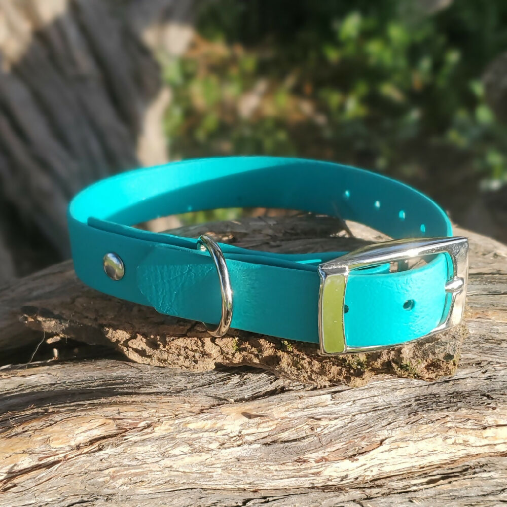 Waterproof dog collar - Bright Colours