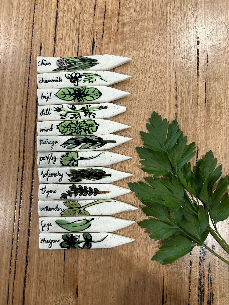 Set of 12 Herb Markers