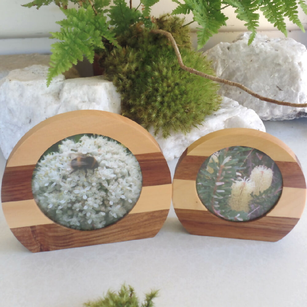 Photo Frame Set- Tasmanian Blackwood & Huon Pine