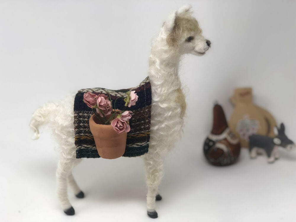 llama7