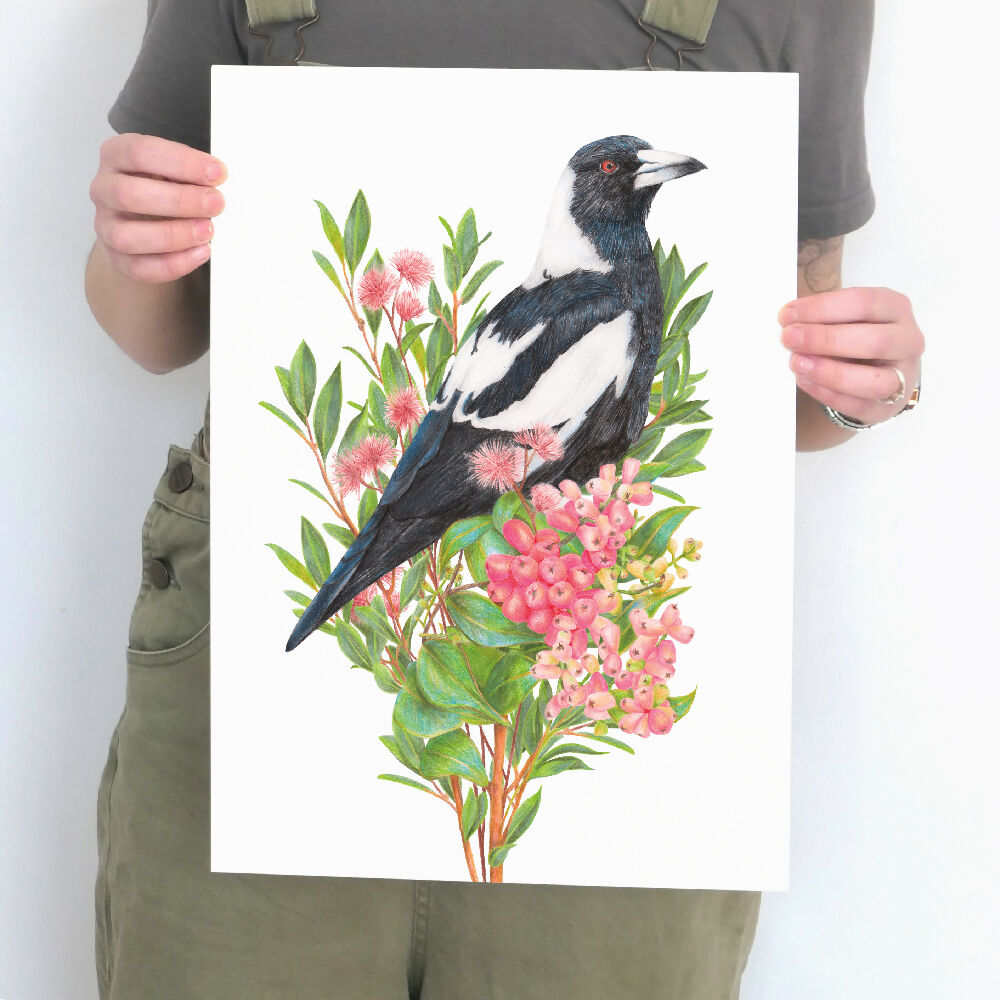 Australian Magpie Art Print