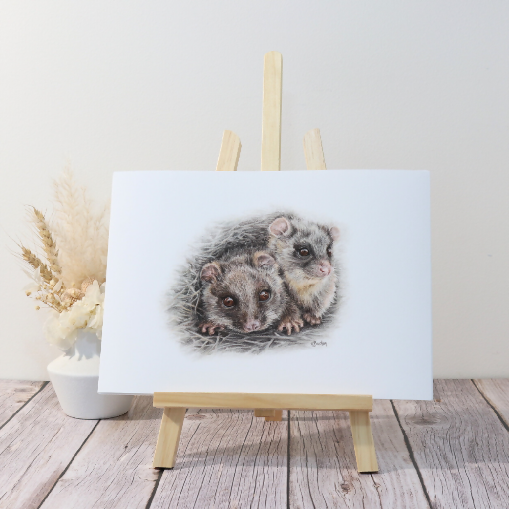 Ringtail Possums | Australian Wildlife Art Print