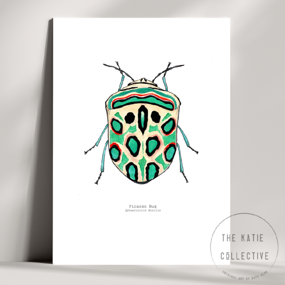 the katie collective - picasso bug (2)