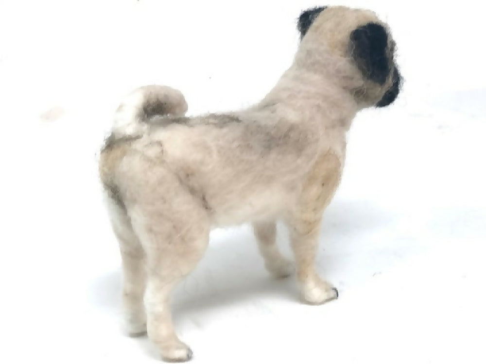 pug3