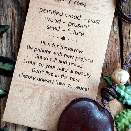 •| PETRIFIED WOOD | WOOD | SEED POD |•  natural talisman necklace