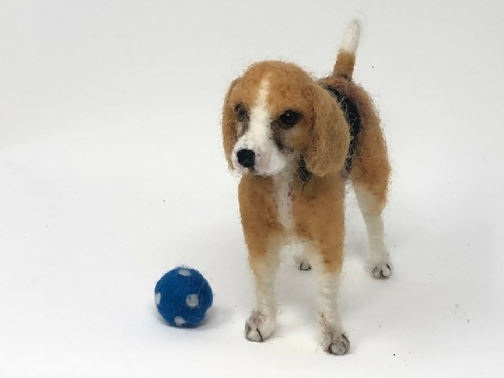 beagle