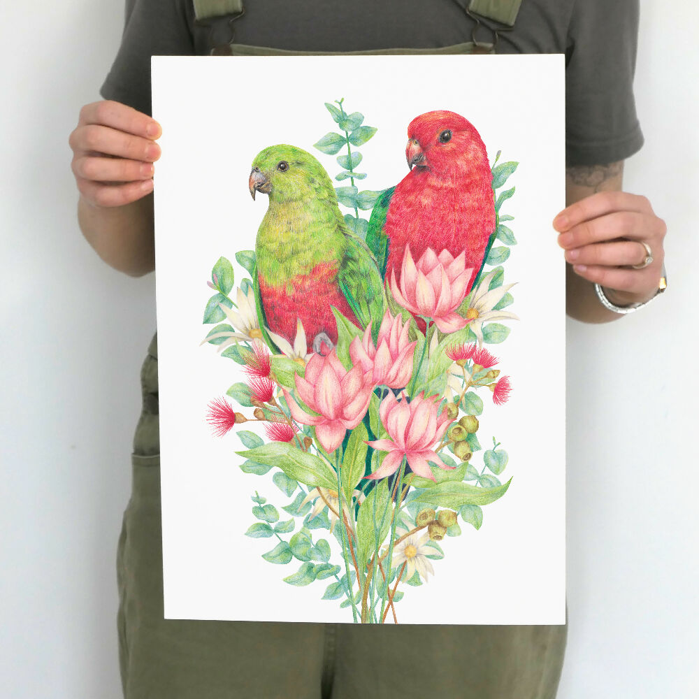 A3 art print of Australian King Parrots and native Australian flowers, by Australian artist Kayla Reay.