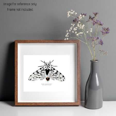 Watercolour Art Print - The Fauna Series - 'Giant Leopard Moth'