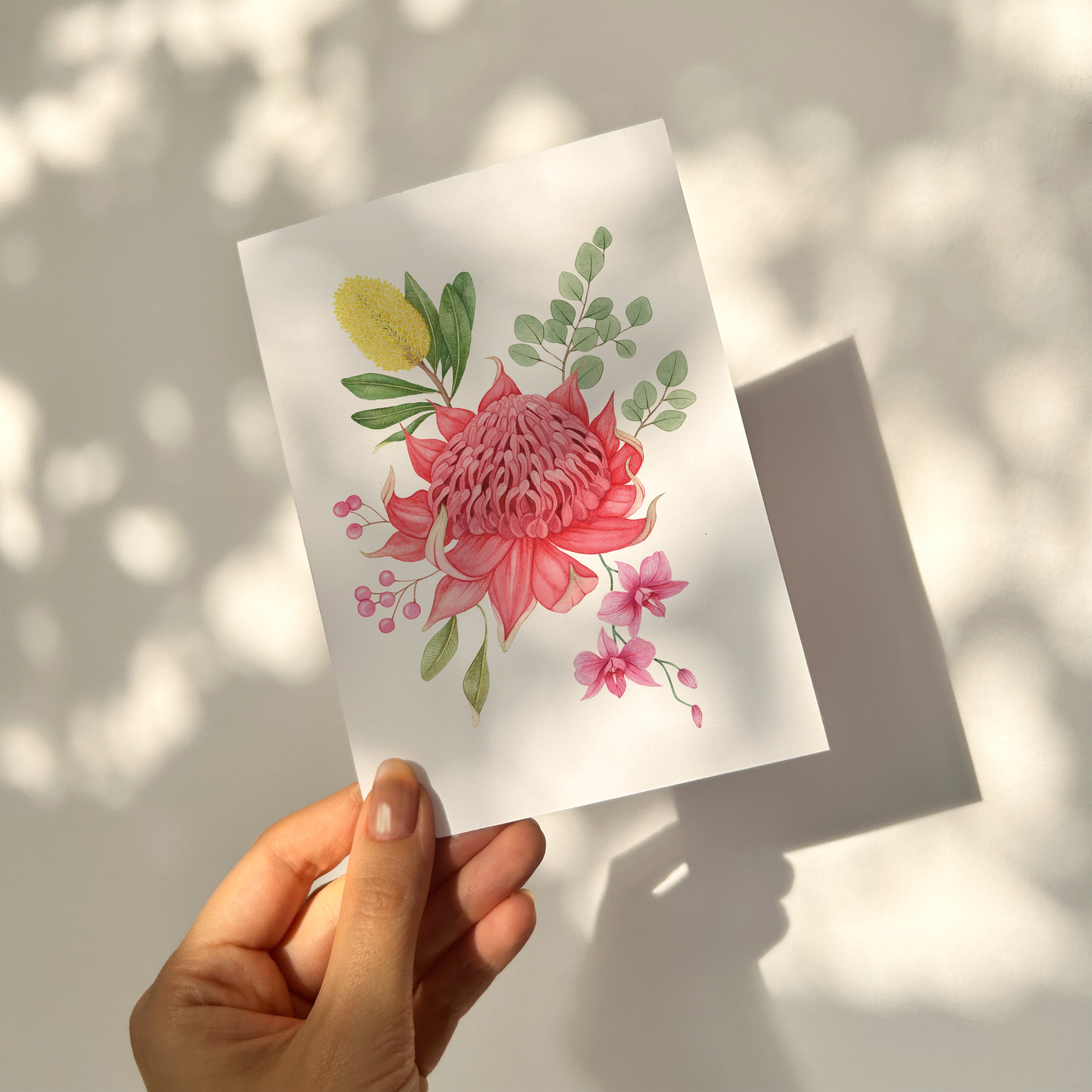 Waratah Bloom Greetings Card