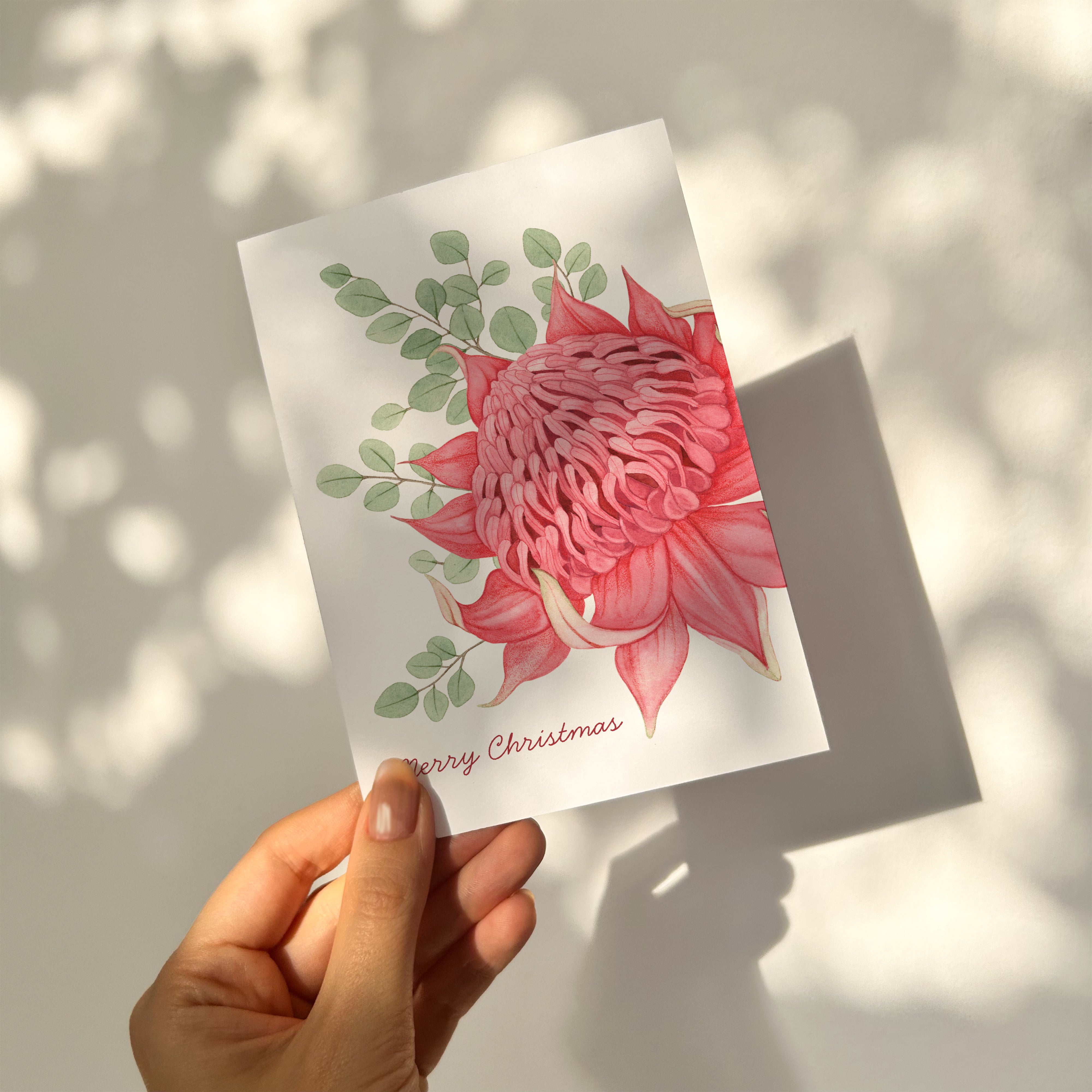 Waratah Christmas Card