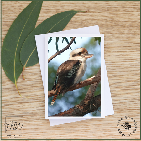 Blank Greeting Card - Laughing Kookaburra