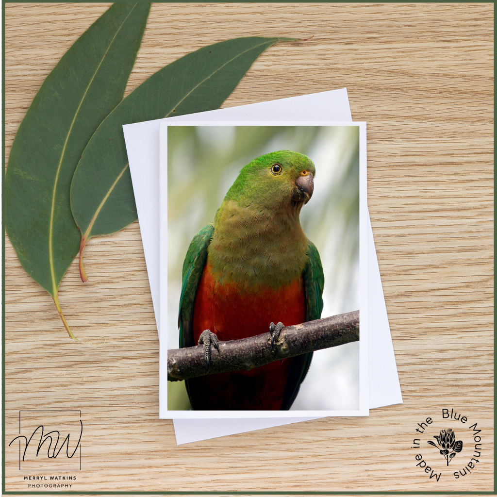 Blank Greeting Card -Female King Parrot